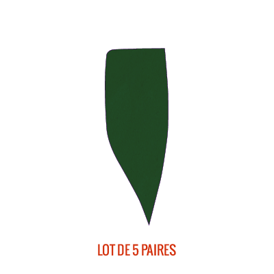 ANTERO SOUS CAPITAL 1 EVA330 VERT02 257 PONCE ADHESIVE
